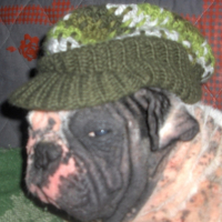 Photo #191737 de Taz