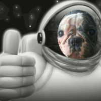Photo #191753 de Taz
