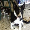 Lola & Whisky