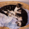 Lola18oct05_066