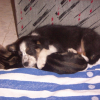 Lola18sept05_012