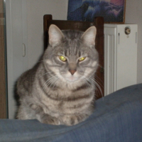 Photo #191799 de Misty