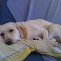 Photo #191823 de Vany