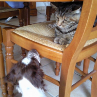 Photo #191834 de Enza