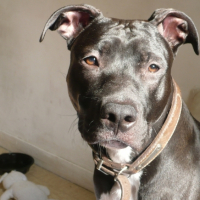 Photo #191844 de Tyzen