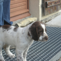Photo #191856 de Enza