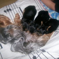 Photo #191881 de Agathe