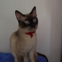 Photo #191944 de Boubouille