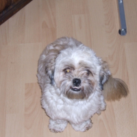 Photo #191962 de Calya