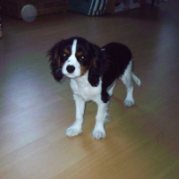 Photo #192008 de Uki