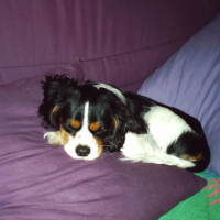 Photo #192014 de Uki