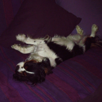 Photo #192020 de Uki