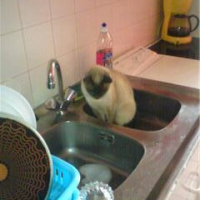 Photo #192092 de Virgile