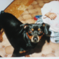 Photo #192156 de Gribouille
