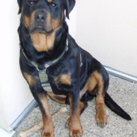 Photo #192169 de Banbo
