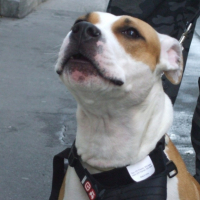 Photo #192184 de Doly