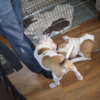 Photo #192189 de Doly