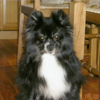 Photo #192233 de Marquise