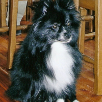 Photo #192238 de Marquise