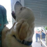 Photo #192254 de Cirus