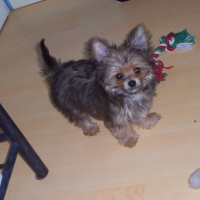 Photo #192256 de Lulan