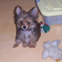 Photo #192261 de Lulan