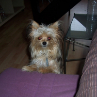 Photo #192281 de Lulan