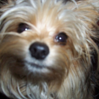 Photo #192284 de Lulan