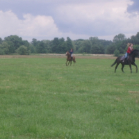 Photo #192354 de Ardzel