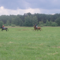 Photo #192355 de Ardzel