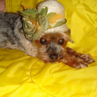 Photo #192366 de Lady