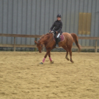 Photo #192390 de Kastor
