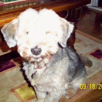 Photo #192462 de Cayou du bayou