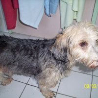 Photo #192475 de Cayou du bayou
