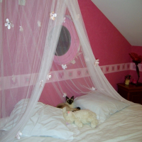 Photo #192509 de Capucine