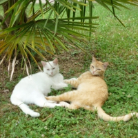 Avec mon demi frére Léo