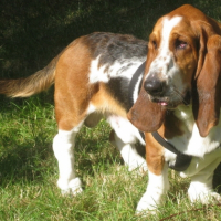 Photo #192534 de Darwin