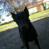CIMG0009_3_