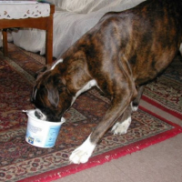 Photo #192650 de Vega
