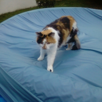 Photo #192692 de Peluche