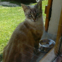 Photo #192707 de Mina