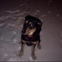 Photo #192795 de Betty