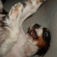 Photo #192835 de Sully