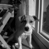 DSCN0983
