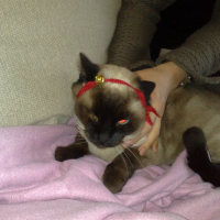 Photo #192846 de Mimile