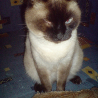 Photo #192848 de Mimile