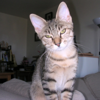 Photo #192857 de Blaise