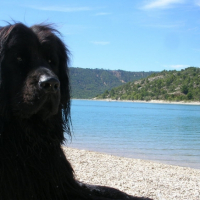 Photo #192888 de Appy