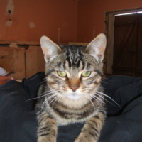 Photo #192937 de Jack