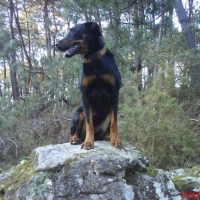 Photo #192988 de Kaïna